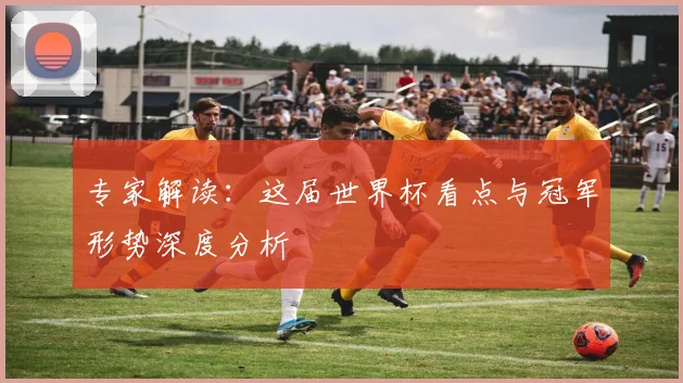 专家解读：这届世界杯看点与冠军形势深度分析