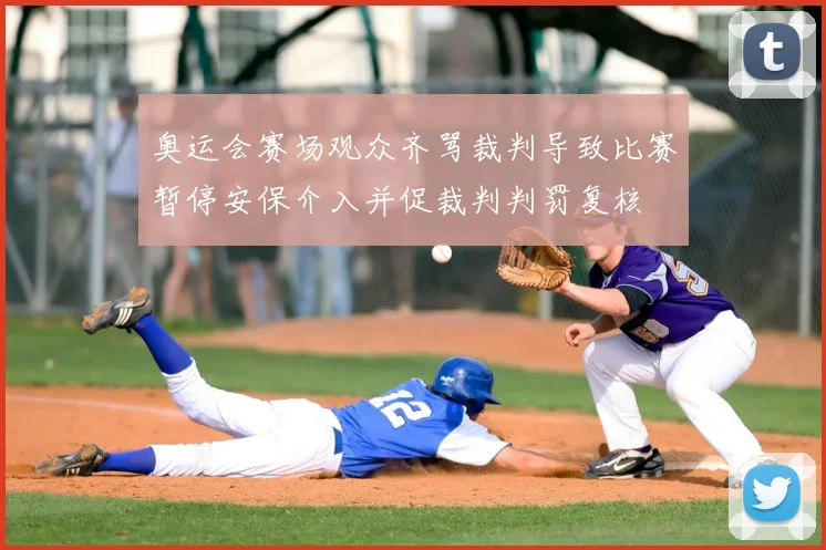 奥运会赛场观众齐骂裁判导致比赛暂停安保介入并促裁判判罚复核