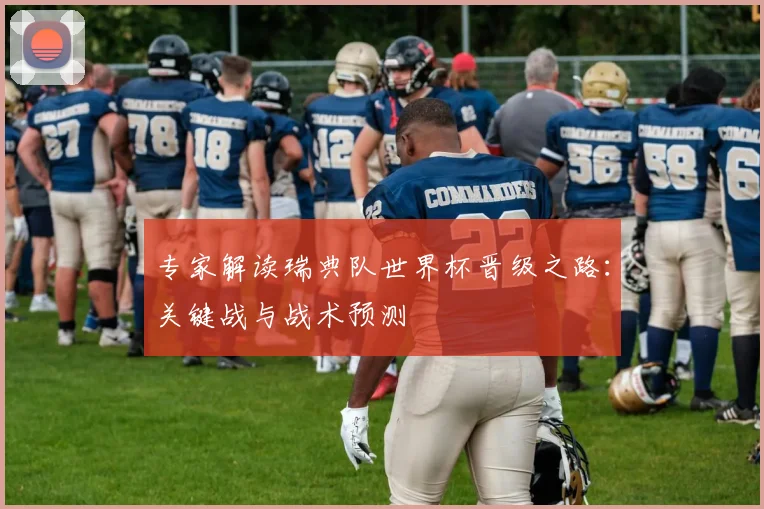 专家解读瑞典队世界杯晋级之路：关键战与战术预测