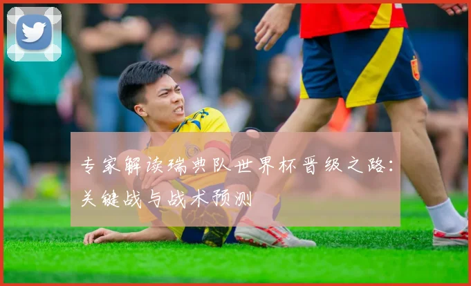 专家解读瑞典队世界杯晋级之路：关键战与战术预测