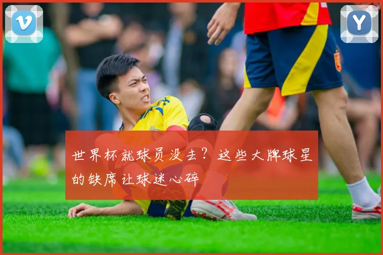 世界杯就球员没去？这些大牌球星的缺席让球迷心碎