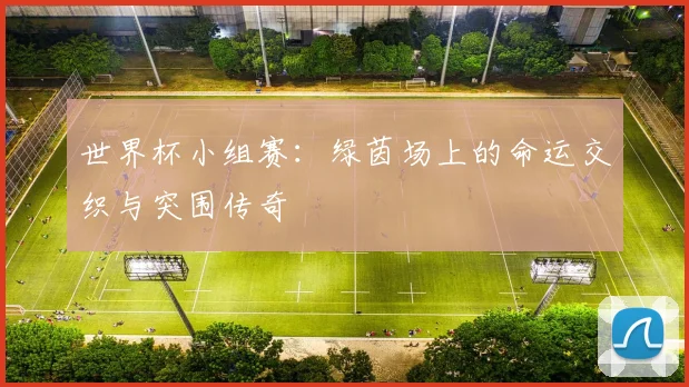 世界杯小组赛：绿茵场上的命运交织与突围传奇