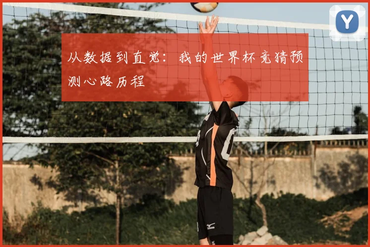 从数据到直觉：我的世界杯竞猜预测心路历程
