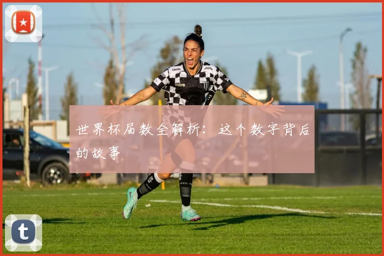 世界杯届数全解析：这个数字背后的故事